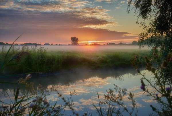 Природа рассвет