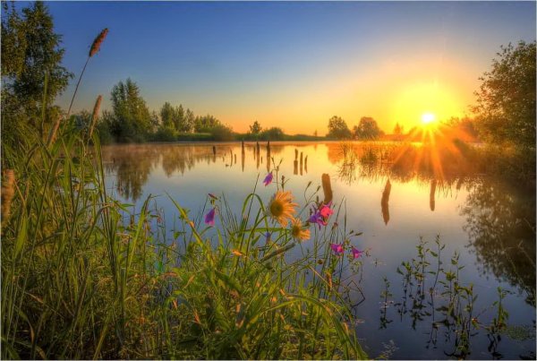 Природа солнце