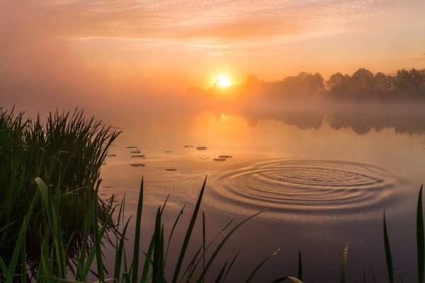 Утренняя природа