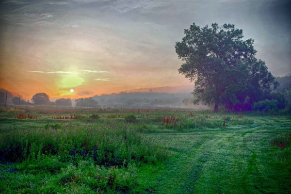 Озеро туман Лекель