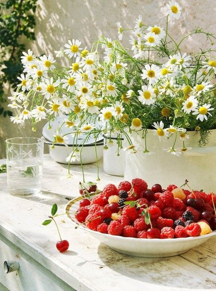 Чудесного летнего утра