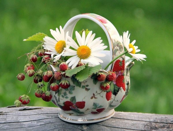 Летнее настроение