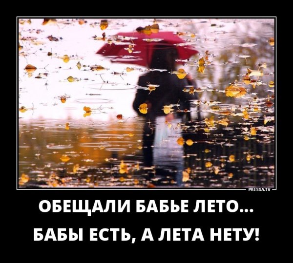 Шутки про бабье лето в картинках