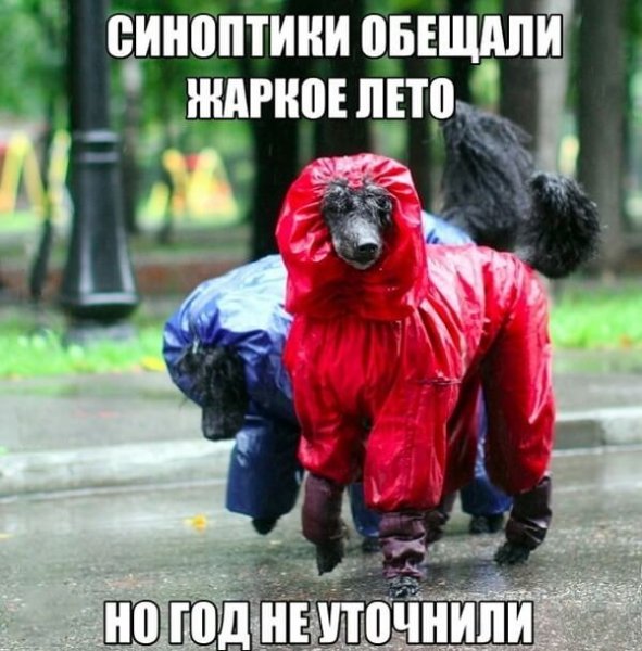 Приколы про Холодное лето