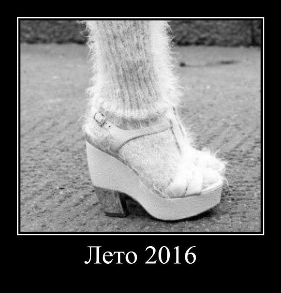 Холодное лето смешно