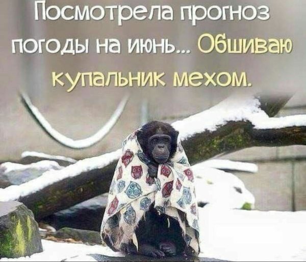 Приколы про Холодное лето