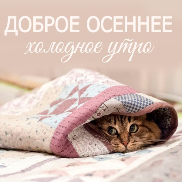 Открытки о погоде прикольные