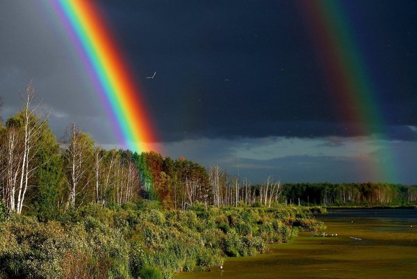 Летние явления природы для дошкольников