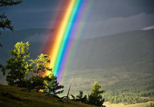 Радуга в природе