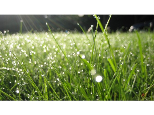 Природа лето Радуга