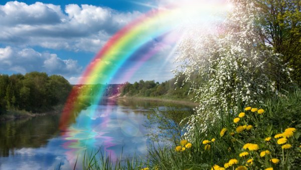 Явления природы лето