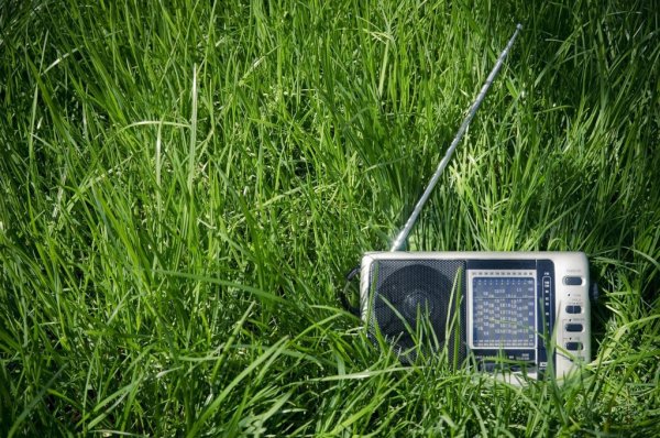 Природа радио и ТВ