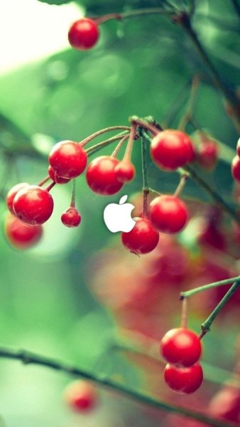 Лето природа
