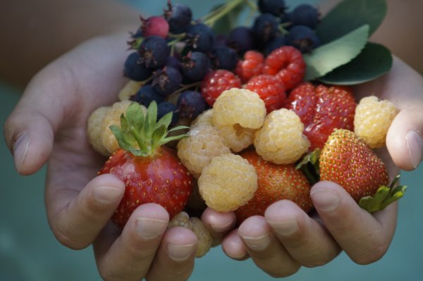 Летние фрукты