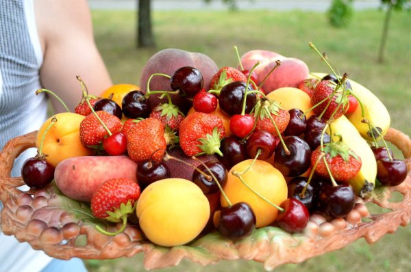 Фрукты летом