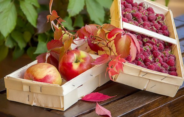 Осенние угощения