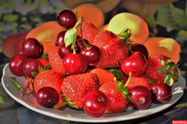 Лето фрукты