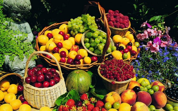 Мева сабзавотчилик