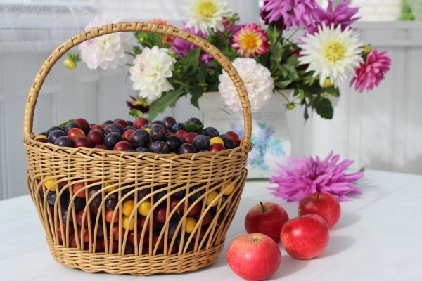 Фотоконкурс дары лета