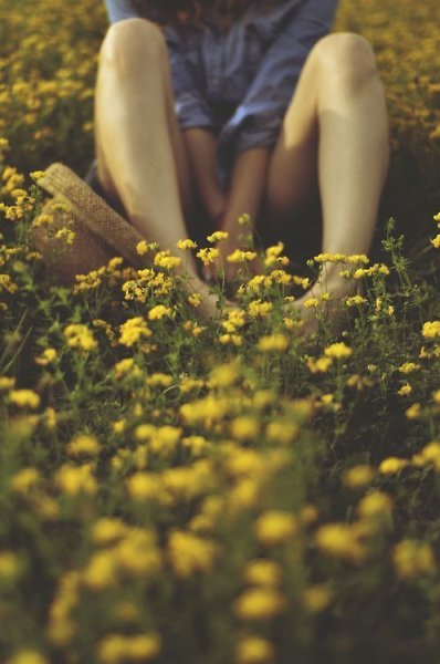 Девушка в подсолнухах