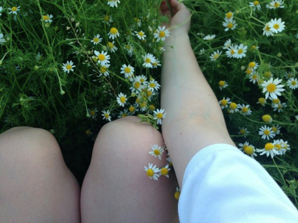 Две подружки