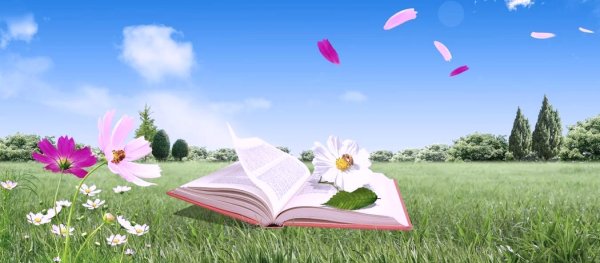 Фон лето с книжкой