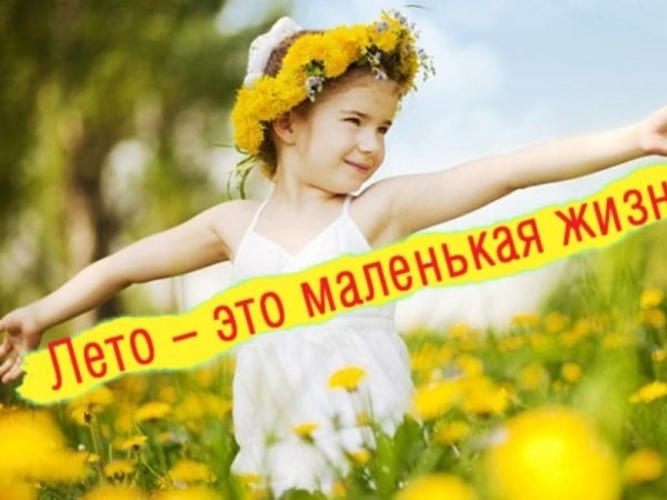 Лето - это маленькая жизнь