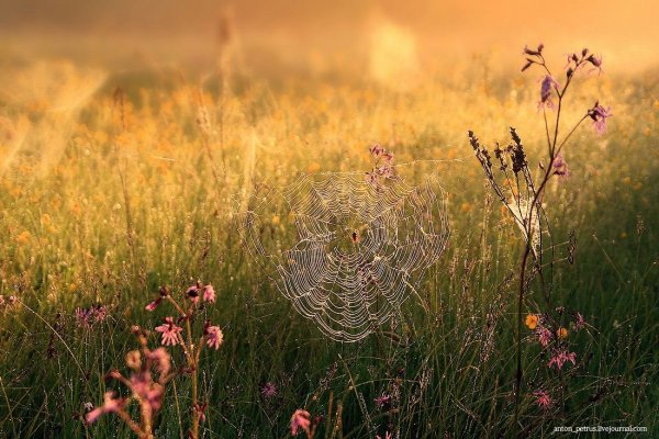 Конец августа солнце