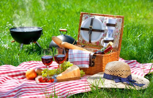 Пикник на берегу озера