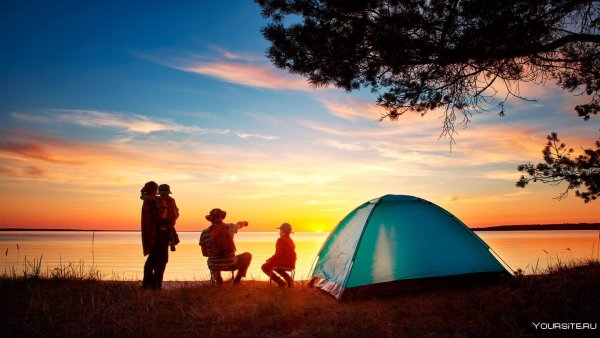 Дети летом на траве