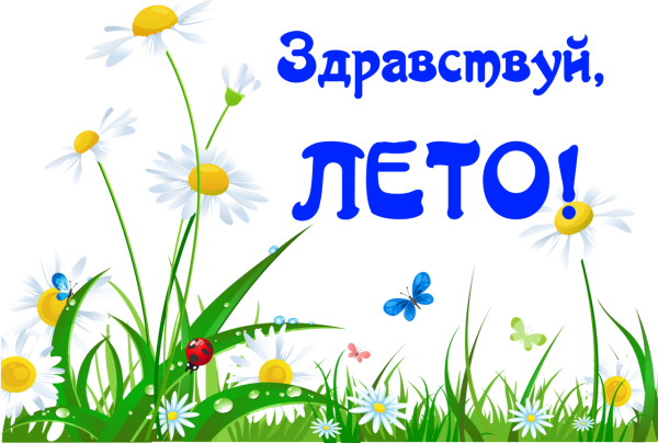 Здравствуй лето