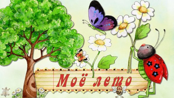 Лето каникулы