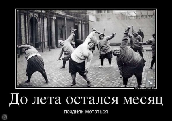 До начала лета осталось