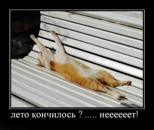 Осень заканчивается