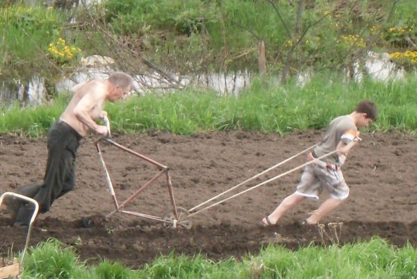 Пахать огород