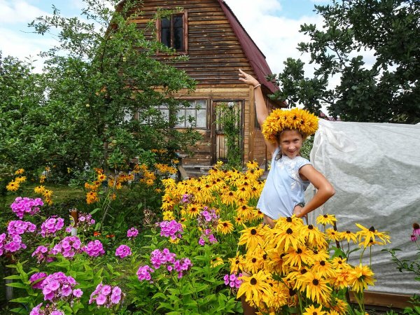 Солнечное утро в деревне