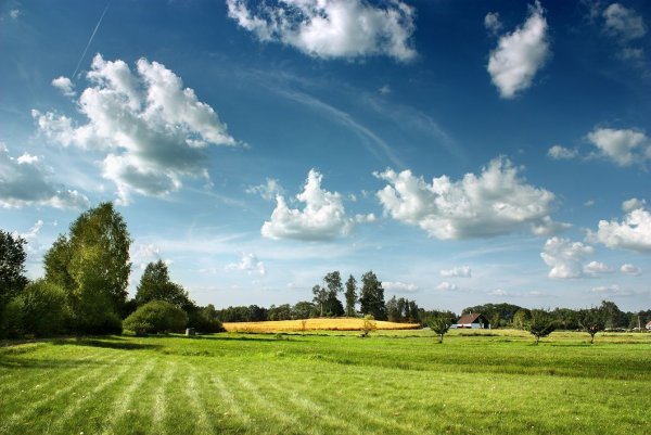 Лето прекрасная пора