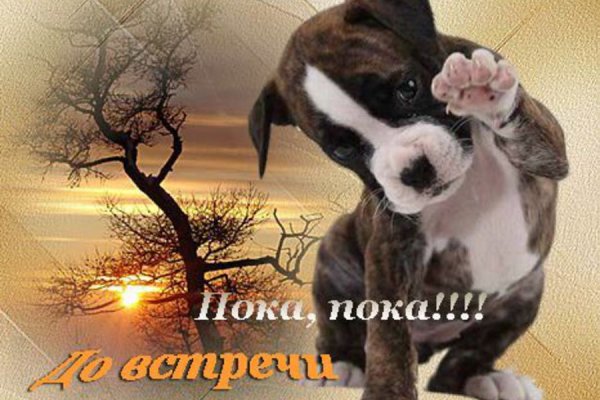 Я В отпуске