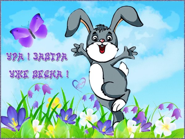 Картинка пока