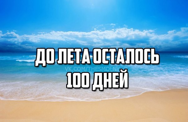 До лета 100 дней картинки