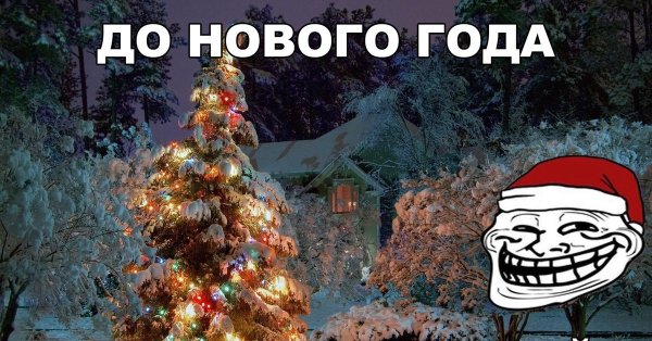 Друзья на пляже