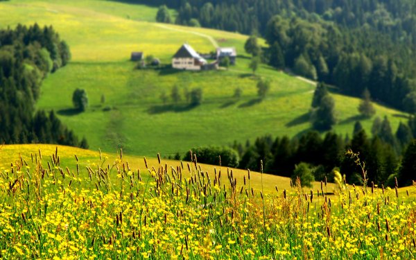 Красивые летние пейзажи