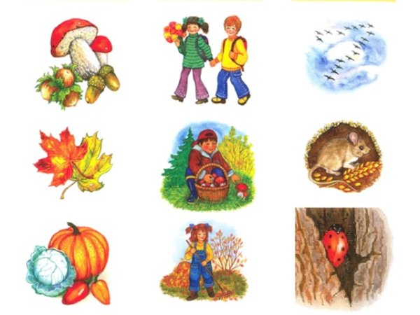 Осенние материалы для дошкольников