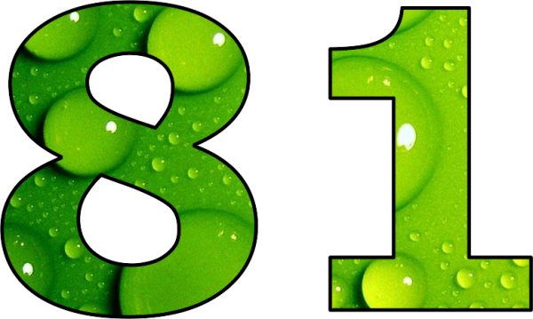 Число 81