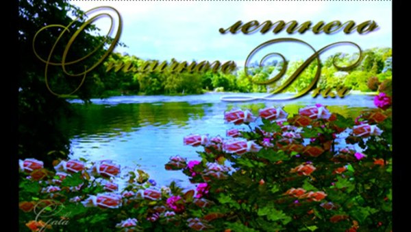 Открытка с днем рождения природа