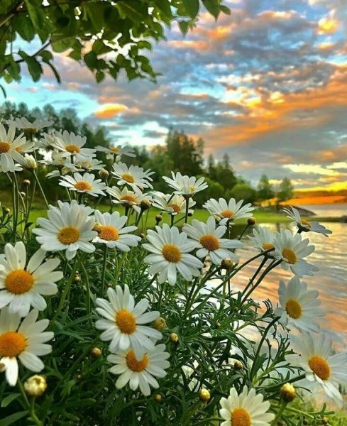 Прекрасный мир природы