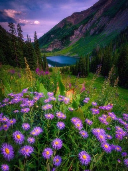 Штат Колорадо пейзажи