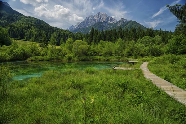 Зеленчи, Словения