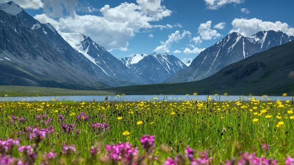 Альпийские Луга в Крыму