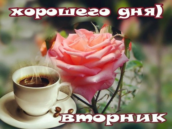 Отличного вторника